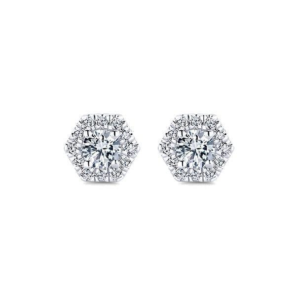 Echt 3,20 ct Aus der Erde Abgebauter Natürlicher Diamanten im Rundschliff Damen Ohrstecker Halo Weißgold 14K