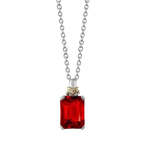 Roter Rubin Anhänger Halskette mit Kette 6 Karat Gold 14K - harrychadent.de