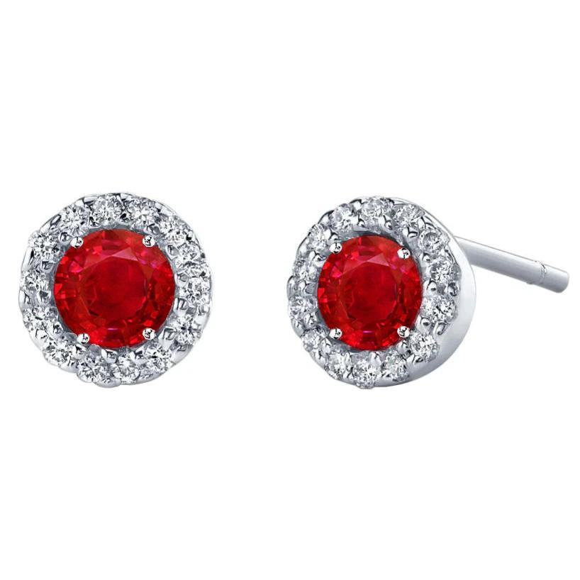 Rubin mit Aus der Erde Abgebauter Natürlicher Diamanthalo-Ohrstecker 5,28 ct. Weißgold 14K