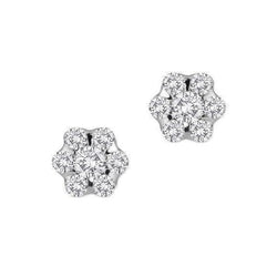 5.25 Carats Runden Cut Echt Diamant Women Pave Stud Earrings White Gold 14K