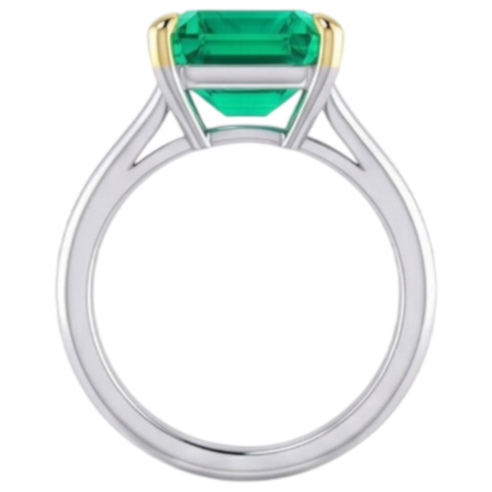 Schmuckstein-Ring Zweifarbiges 14K Gold mit Smaragd – Schrägansicht