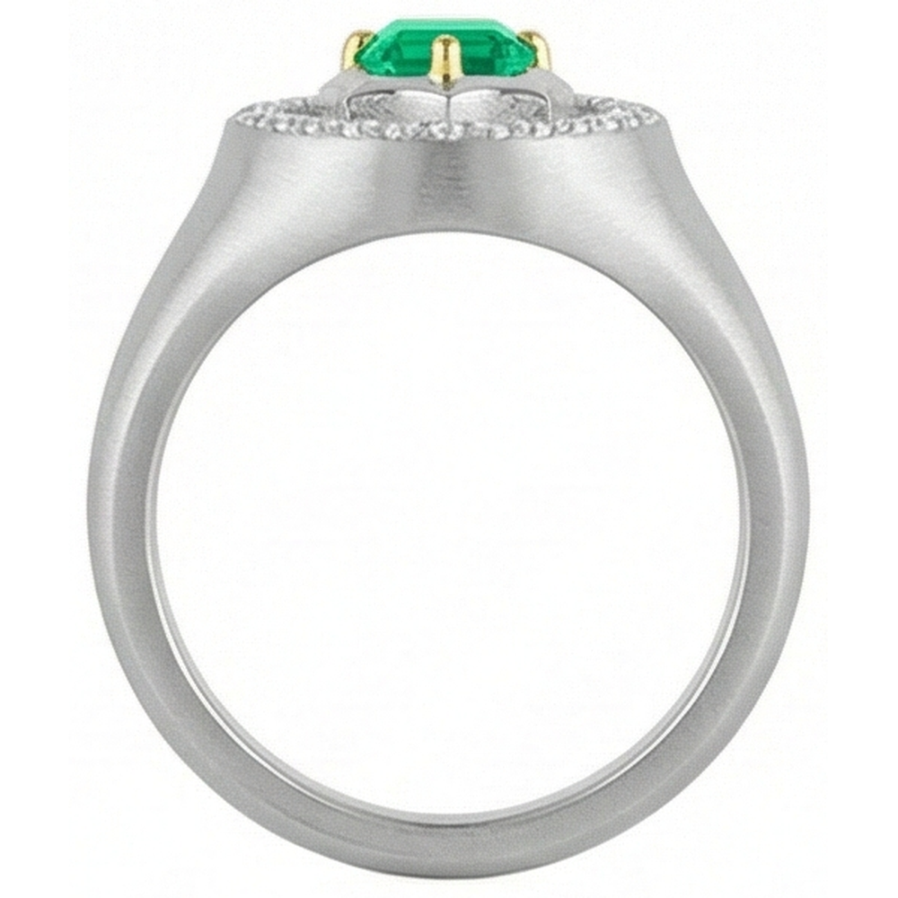 Smaragd-Schliff Smaragd Ring in Bicolor 14K Gold – Rückansicht