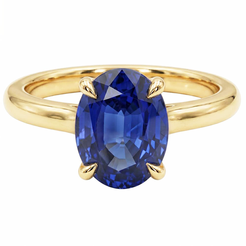 Echter Diamant Ring 2.50 Karat