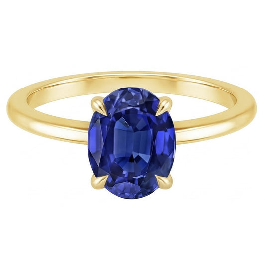 Echter Diamant Ring 2.50 Karat