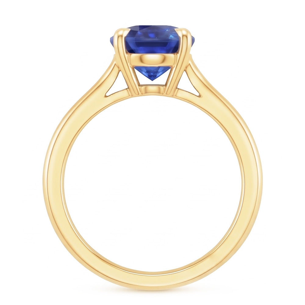 Echter Diamant Ring 3 Karat