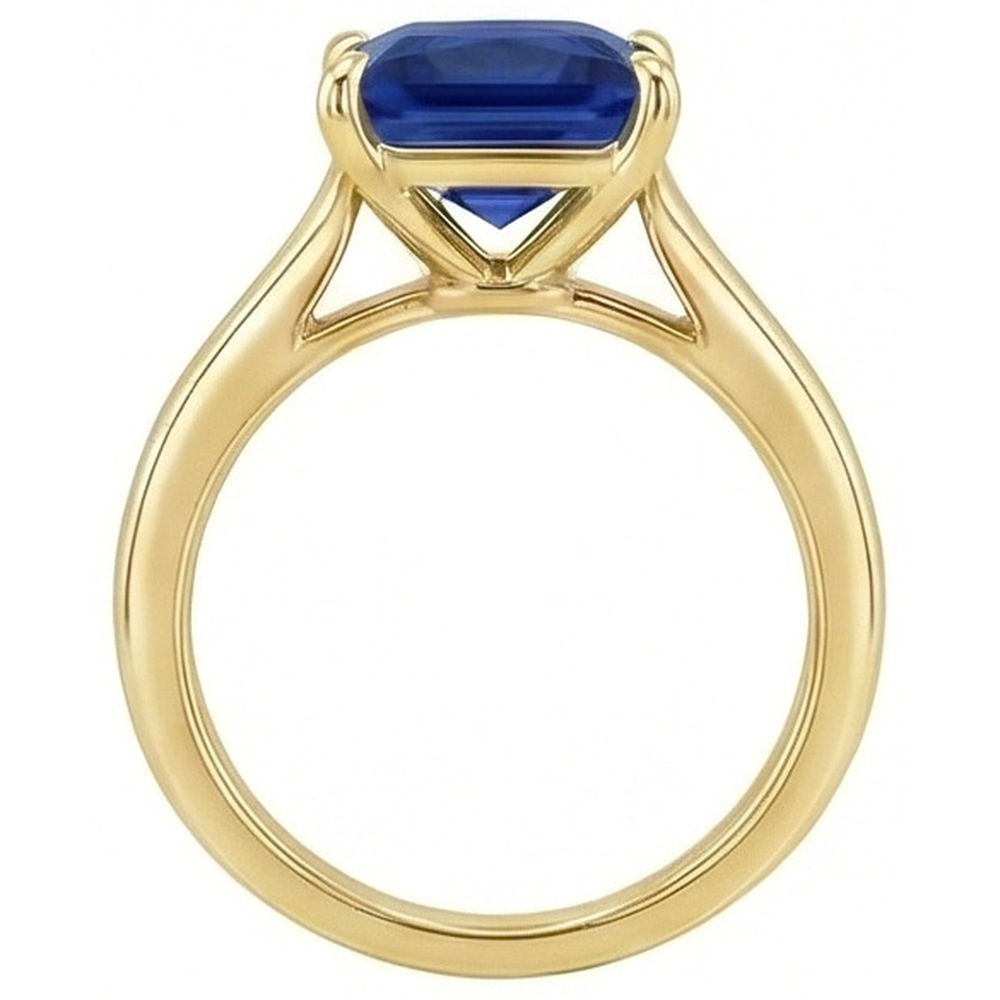 echter princess diamant 5Karat ring Detailansicht