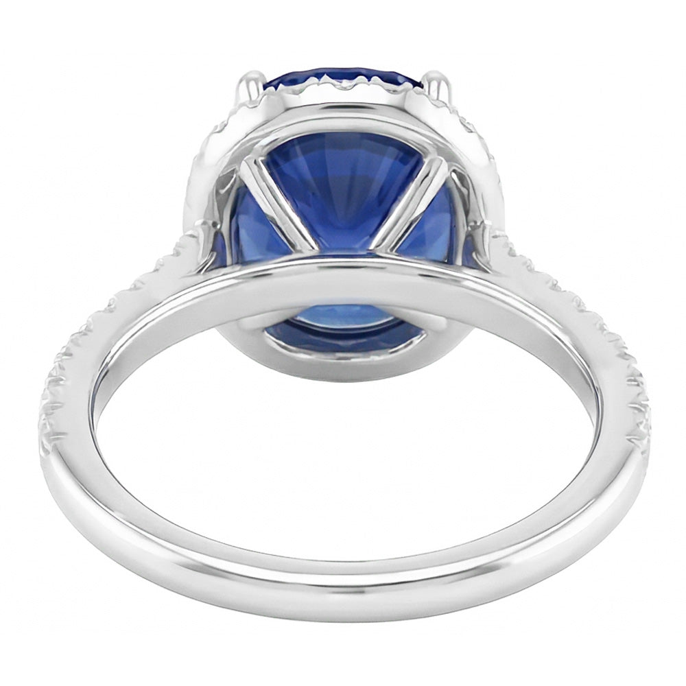 Gold Halo Oval Ceylon Saphir Ring Natürlicher Diamant ( nicht im Labor gezüchtet )schmuck 3,50 Karat