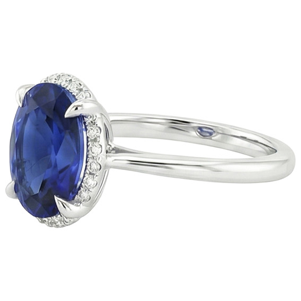Halo Ceylon Saphir Ring Oval Cut 3,50 Karat Krappenfassung