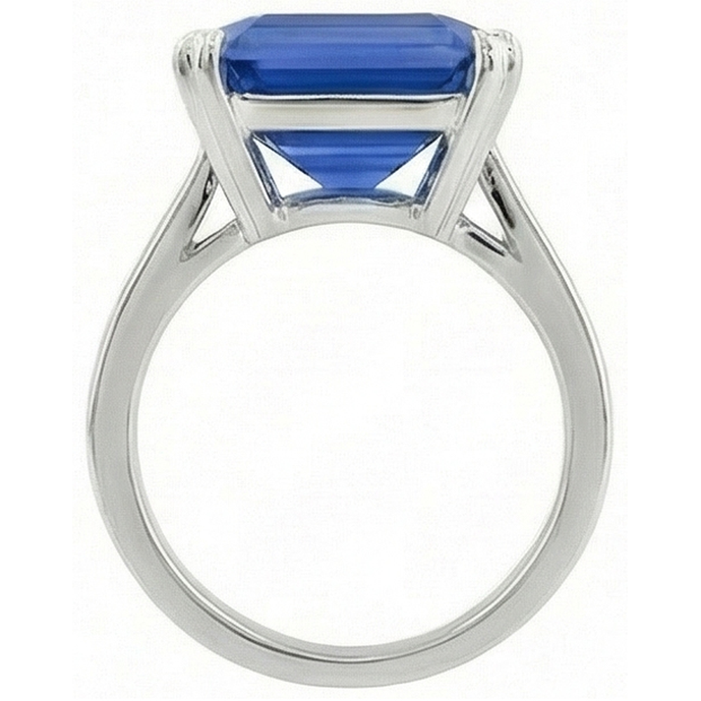 echter princess diamant 5Karat ring Profilansicht