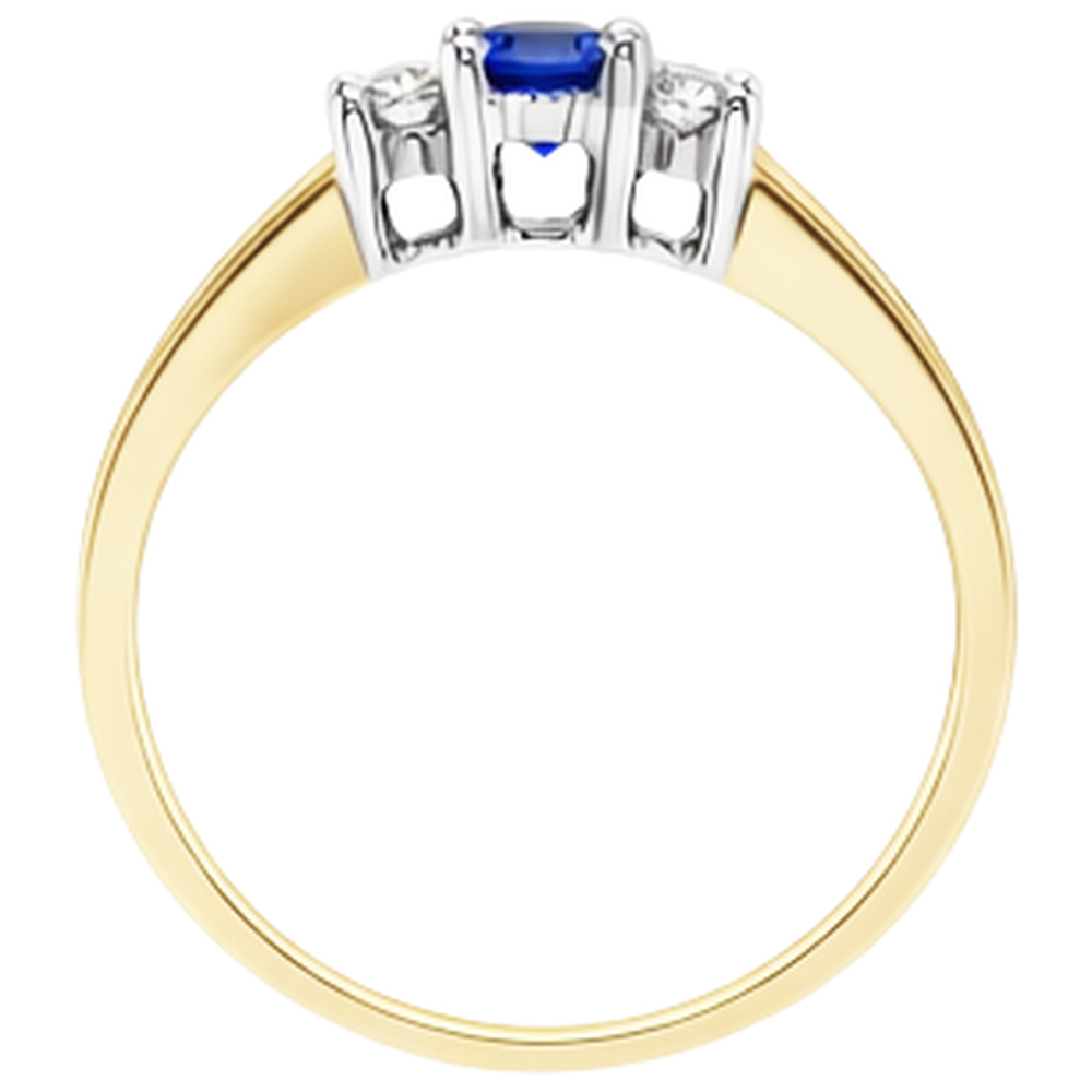 Brillantschliff Tansanit Ring in 14 Karat Zweifarbig Gold – Rückansicht