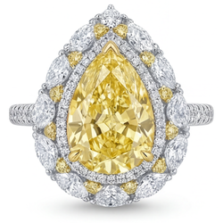 VVS Reinheit Halo-Fassung Ring – Gelber Kanarienvogel-Diamant